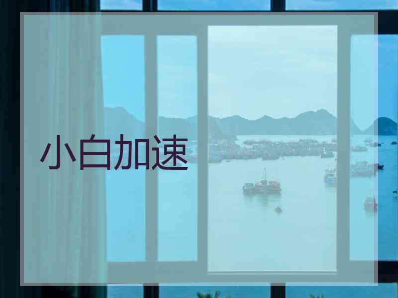 小白加速