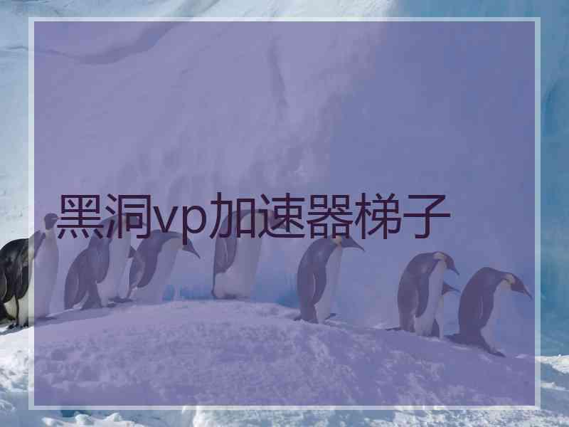 黑洞vp加速器梯子