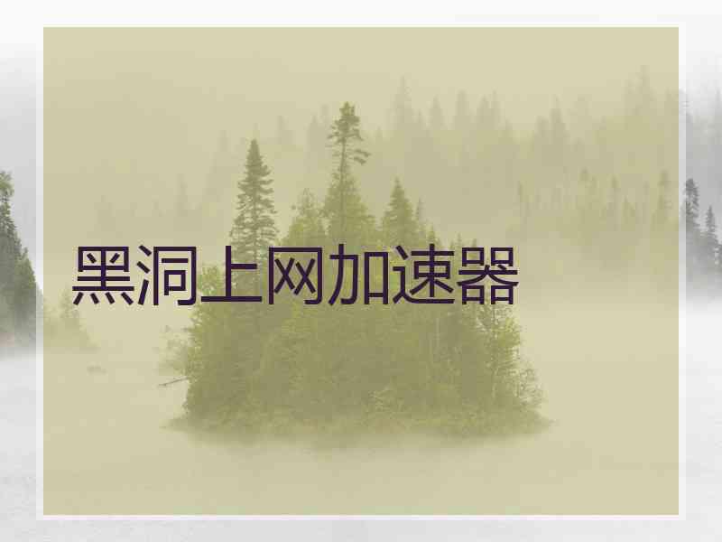 黑洞上网加速器