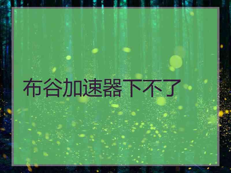布谷加速器下不了