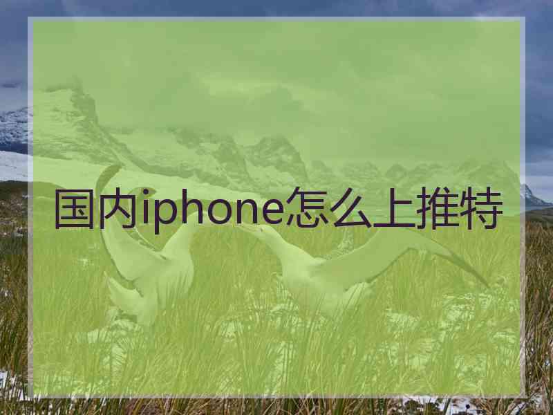 国内iphone怎么上推特