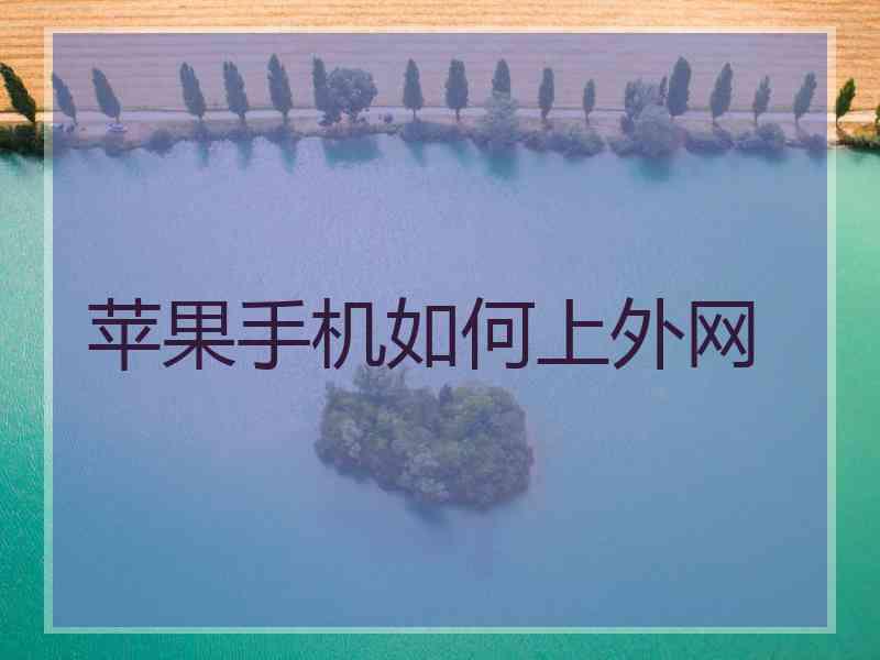 苹果手机如何上外网