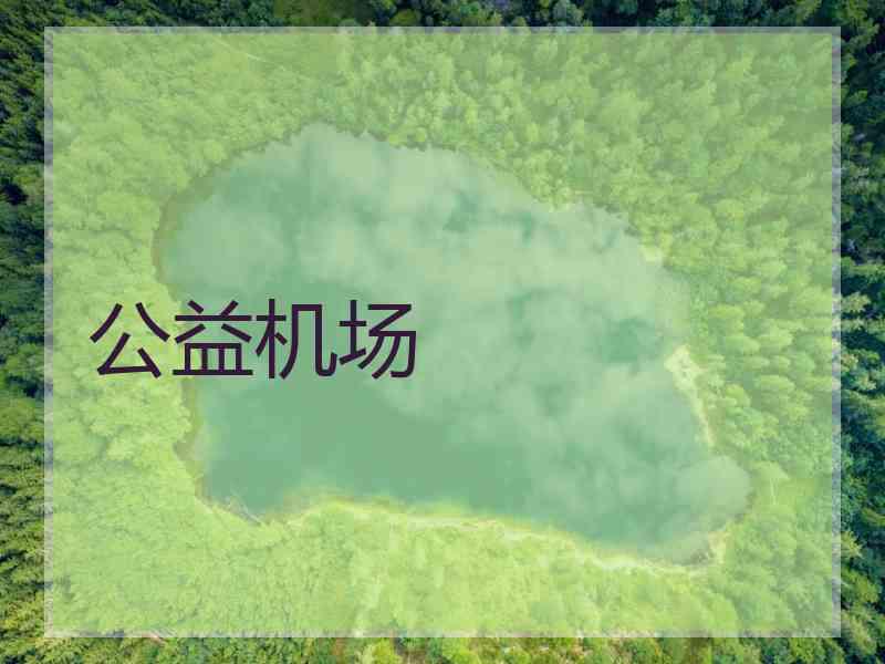 公益机场