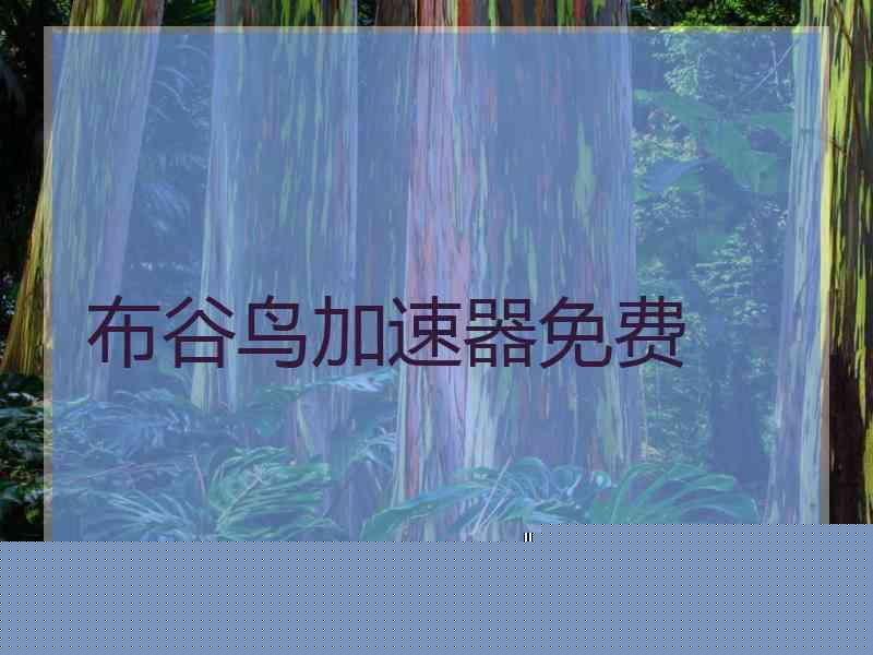 布谷鸟加速器免费