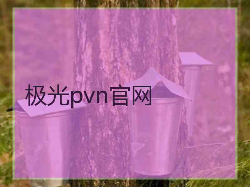 极光pvn官网
