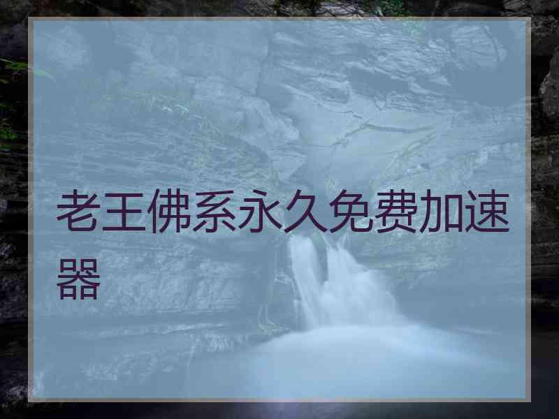 老王佛系永久免费加速器