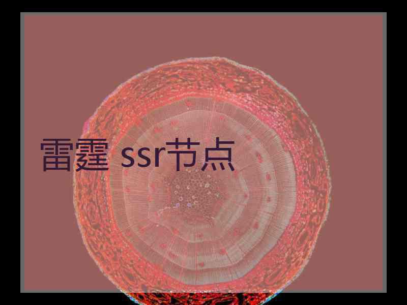 雷霆 ssr节点