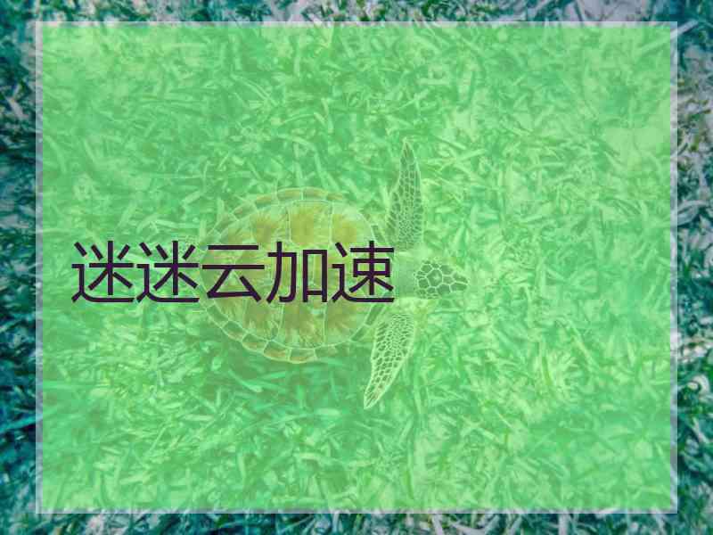 迷迷云加速