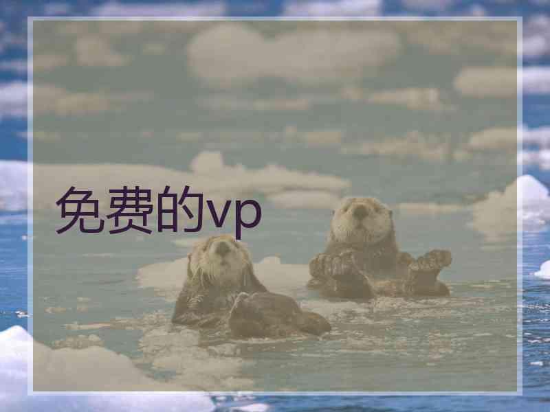 免费的vp