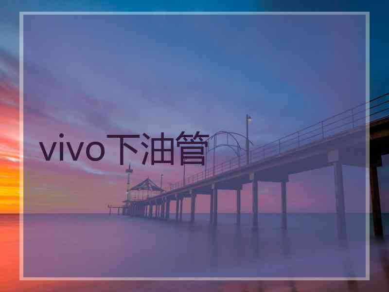 vivo下油管