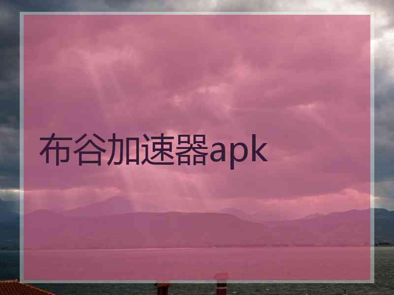 布谷加速器apk