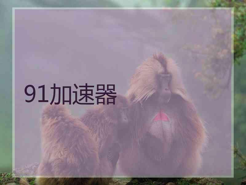 91加速器