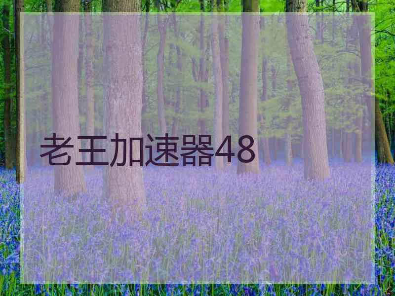 老王加速器48