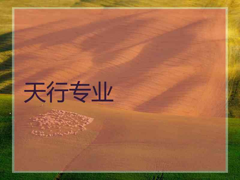 天行专业