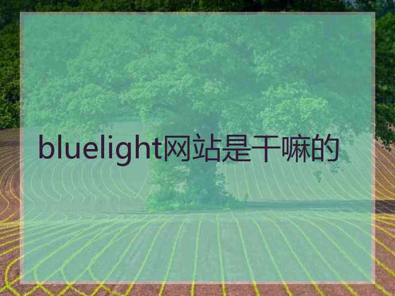 bluelight网站是干嘛的