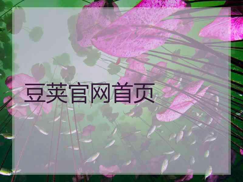 豆荚官网首页