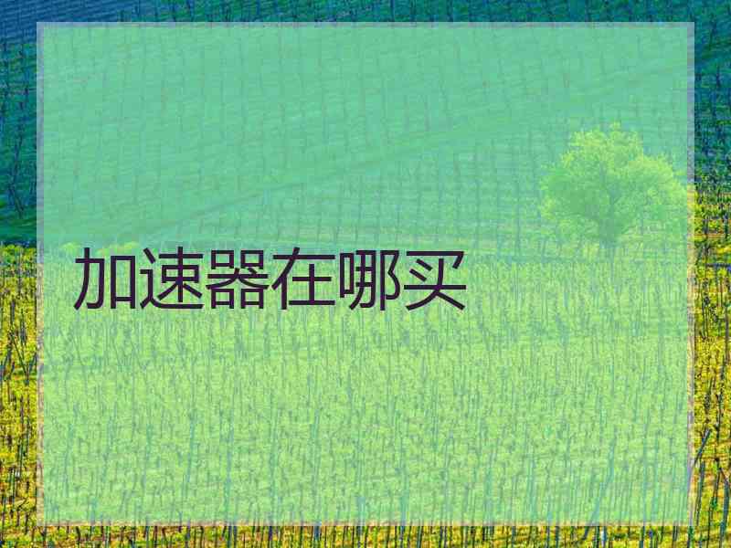 加速器在哪买