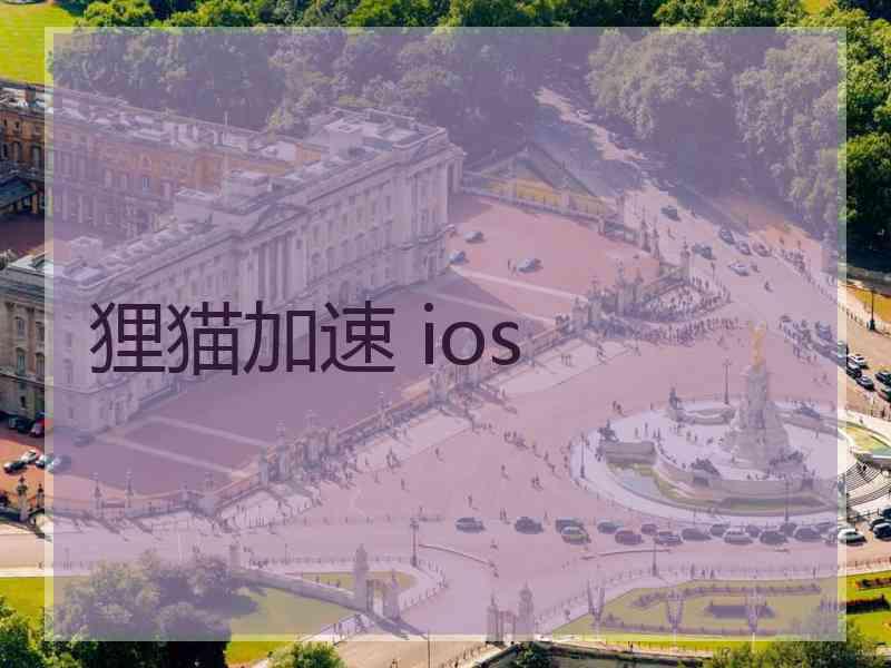 狸猫加速 ios