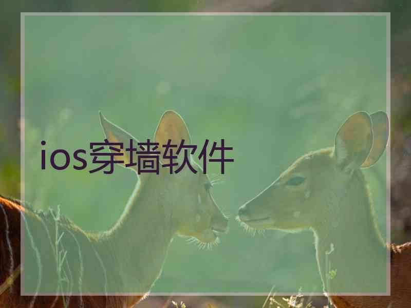 ios穿墙软件
