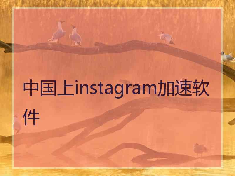 中国上instagram加速软件