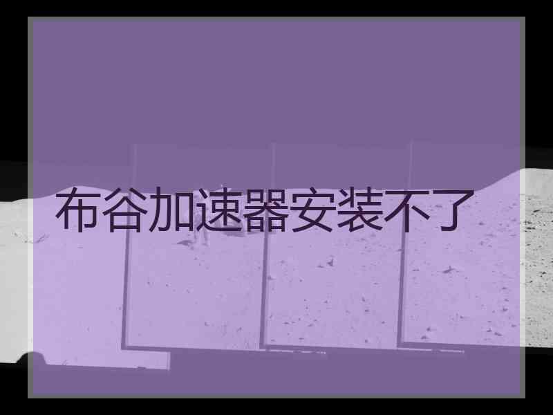 布谷加速器安装不了