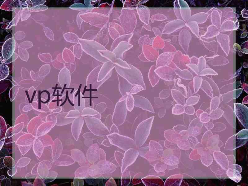 vp软件