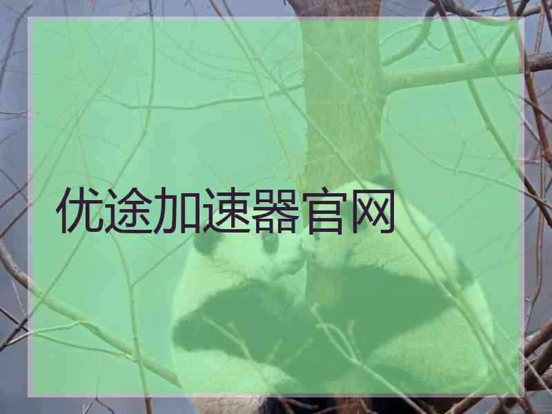 优途加速器官网