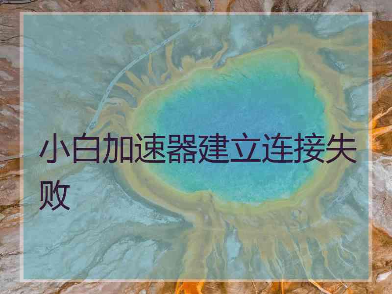 小白加速器建立连接失败