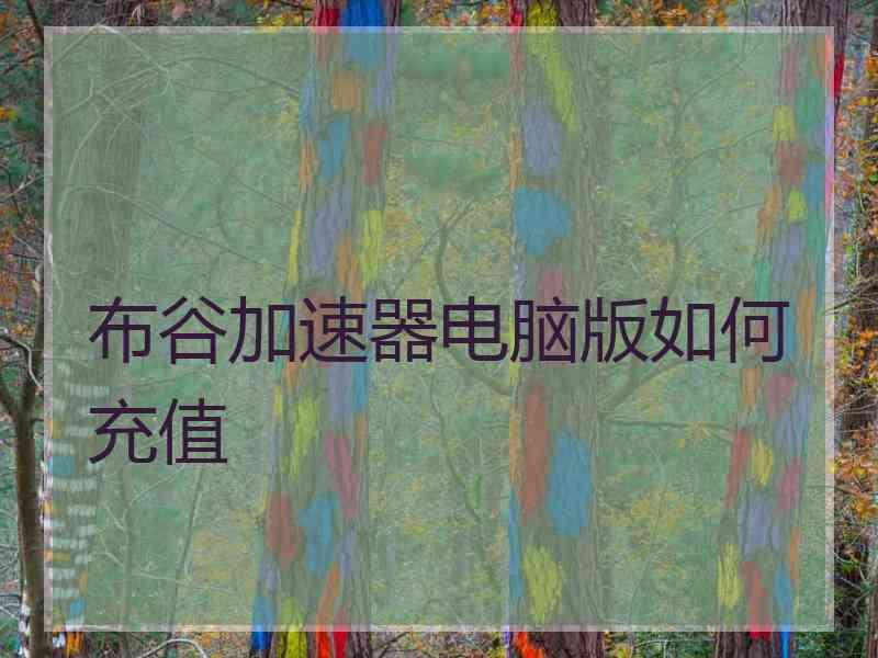 布谷加速器电脑版如何充值