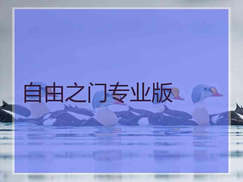 自由之门专业版
