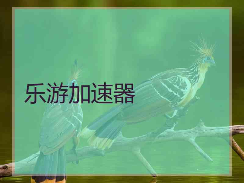 乐游加速器