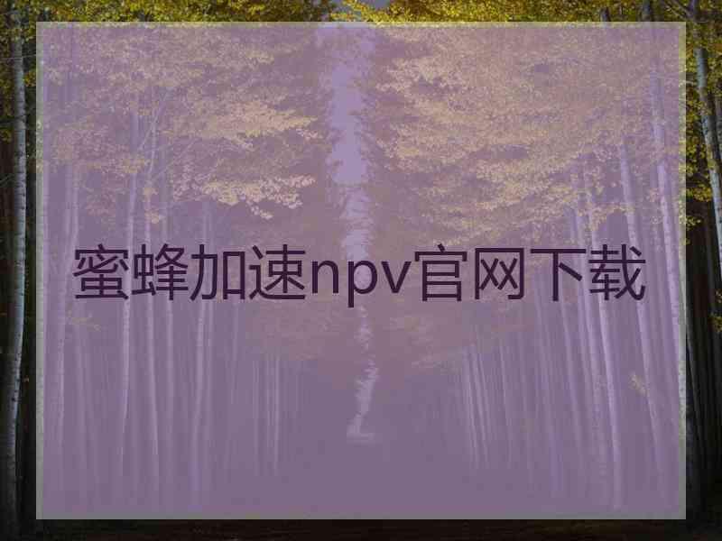 蜜蜂加速npv官网下载