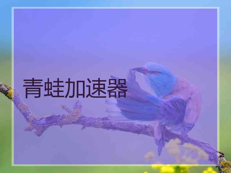 青蛙加速器