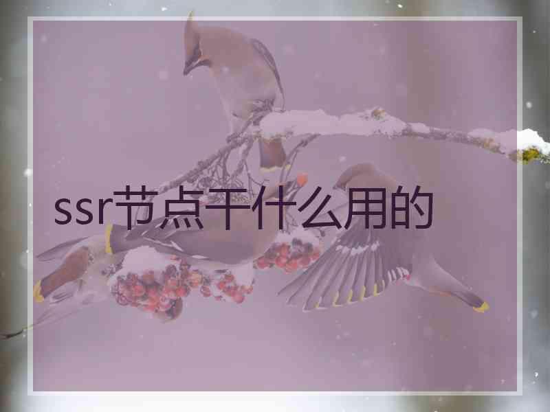 ssr节点干什么用的