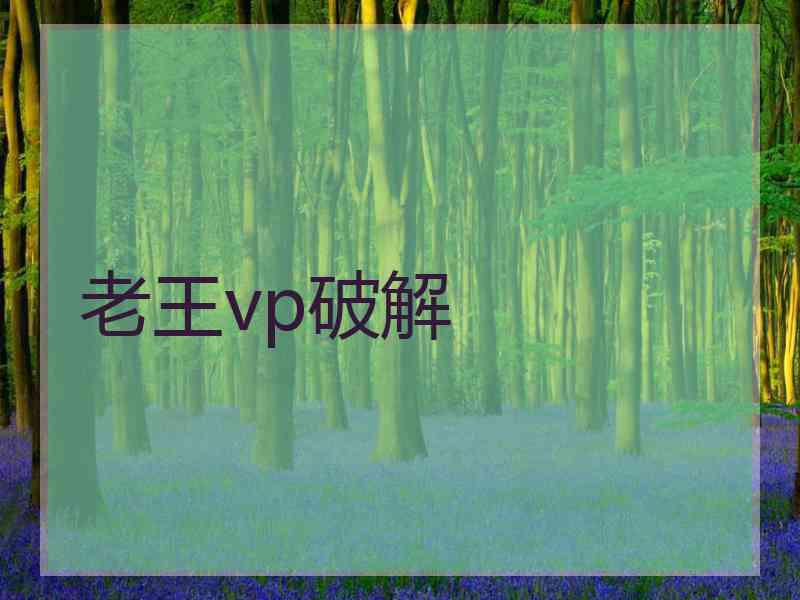 老王vp破解