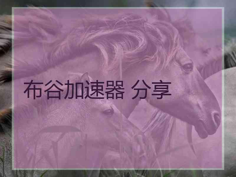 布谷加速器 分享