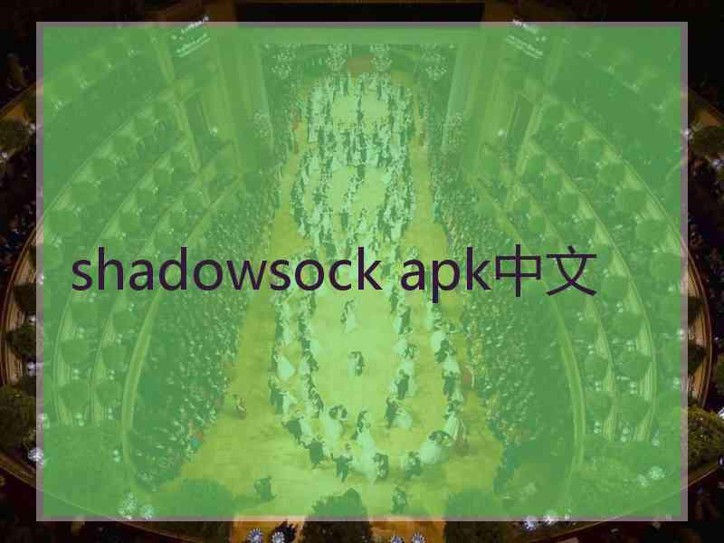 shadowsock apk中文