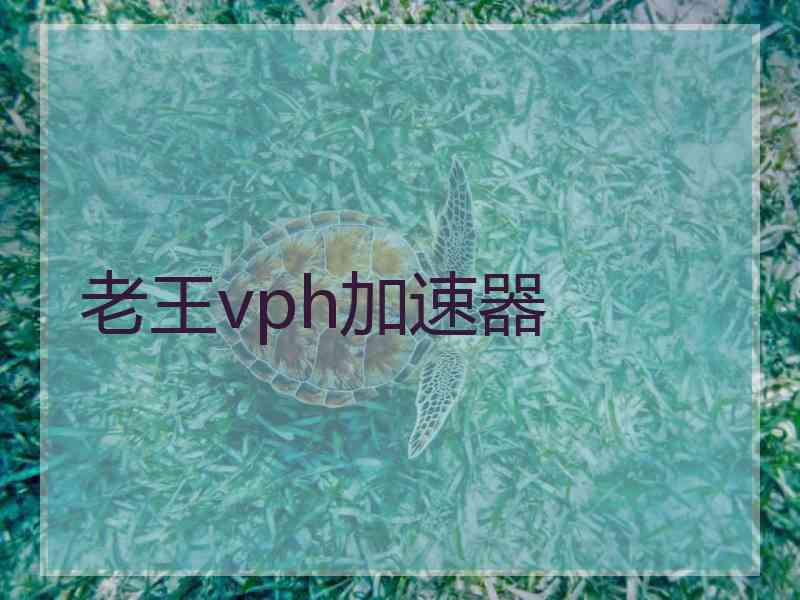 老王vph加速器