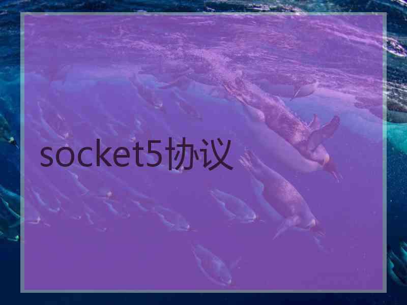 socket5协议
