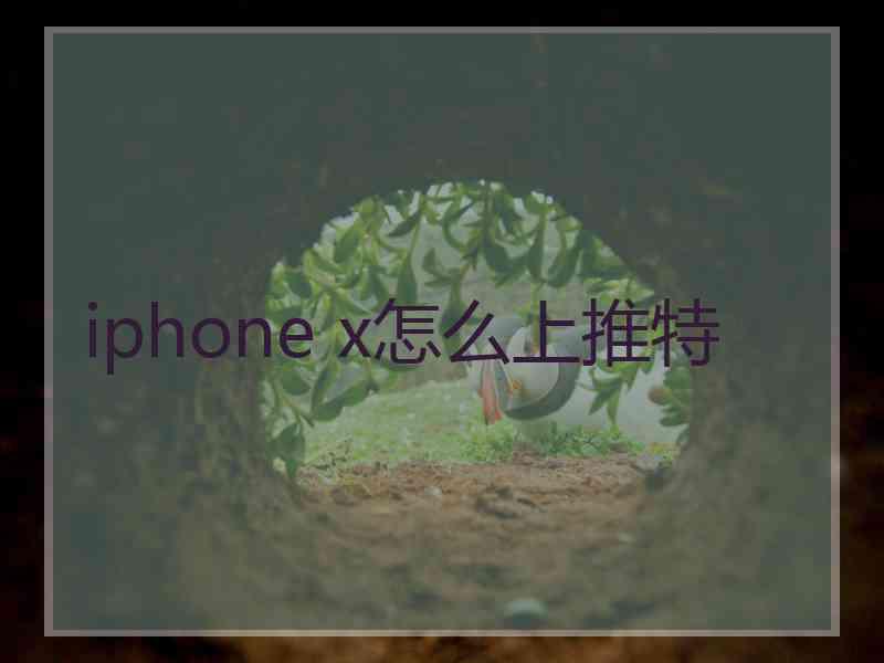 iphone x怎么上推特