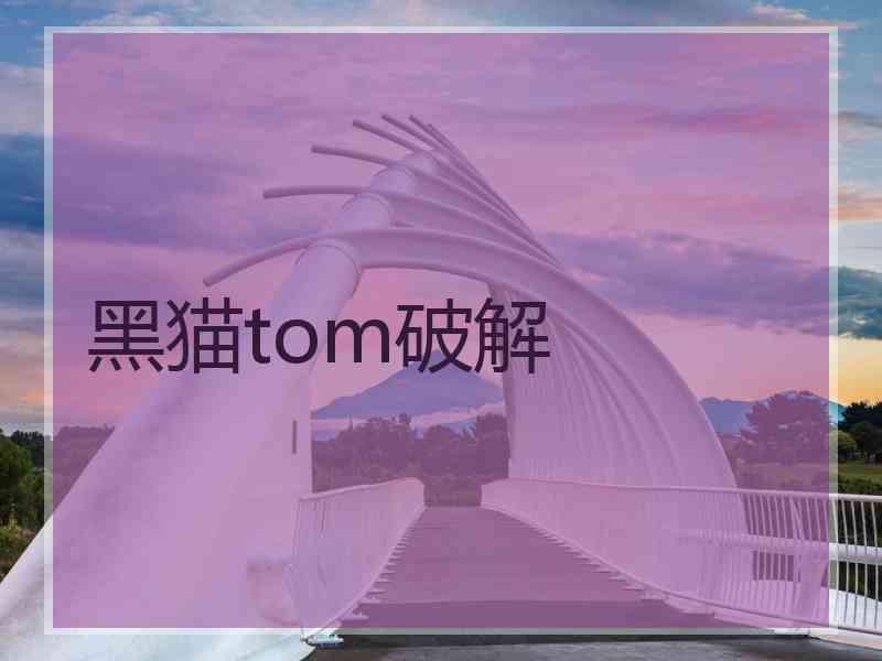 黑猫tom破解