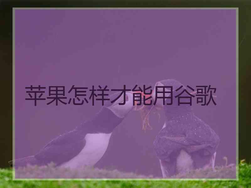 苹果怎样才能用谷歌