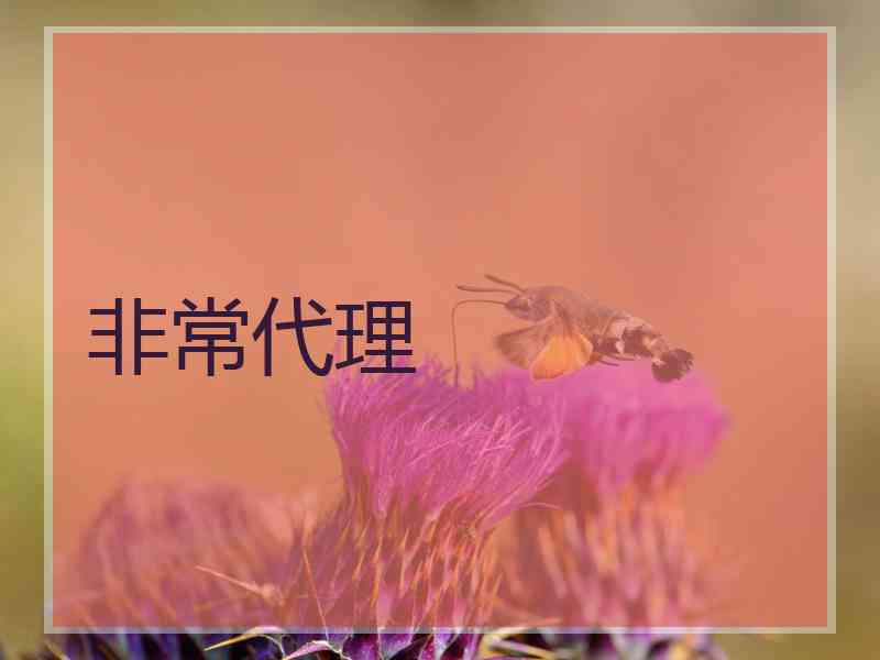 非常代理