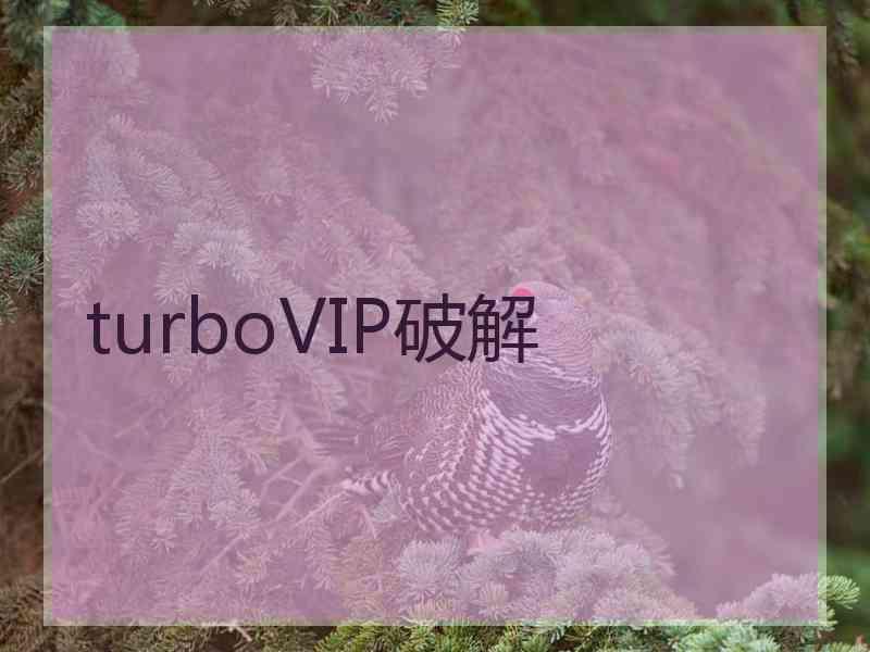 turboVIP破解