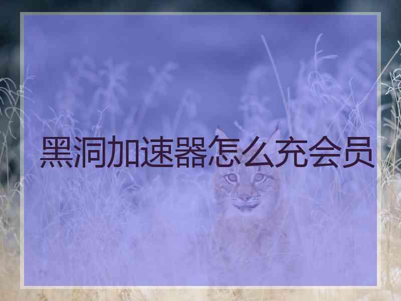 黑洞加速器怎么充会员