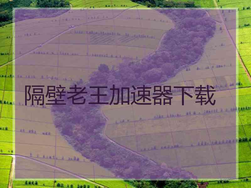 隔壁老王加速器下载