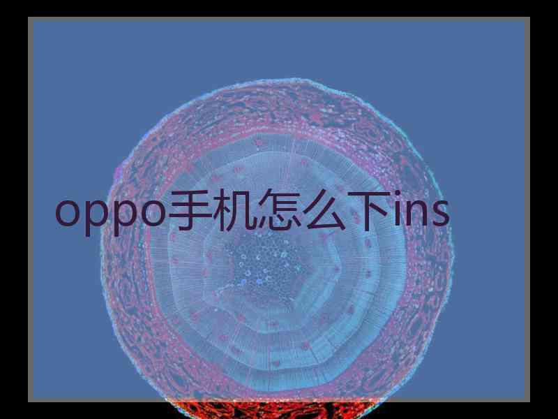 oppo手机怎么下ins