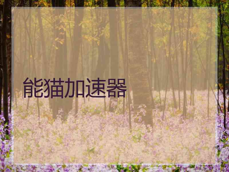 能猫加速器