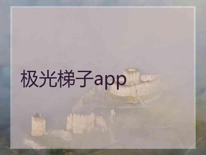 极光梯子app