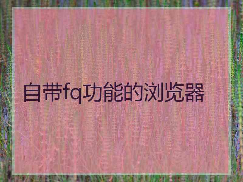 自带fq功能的浏览器